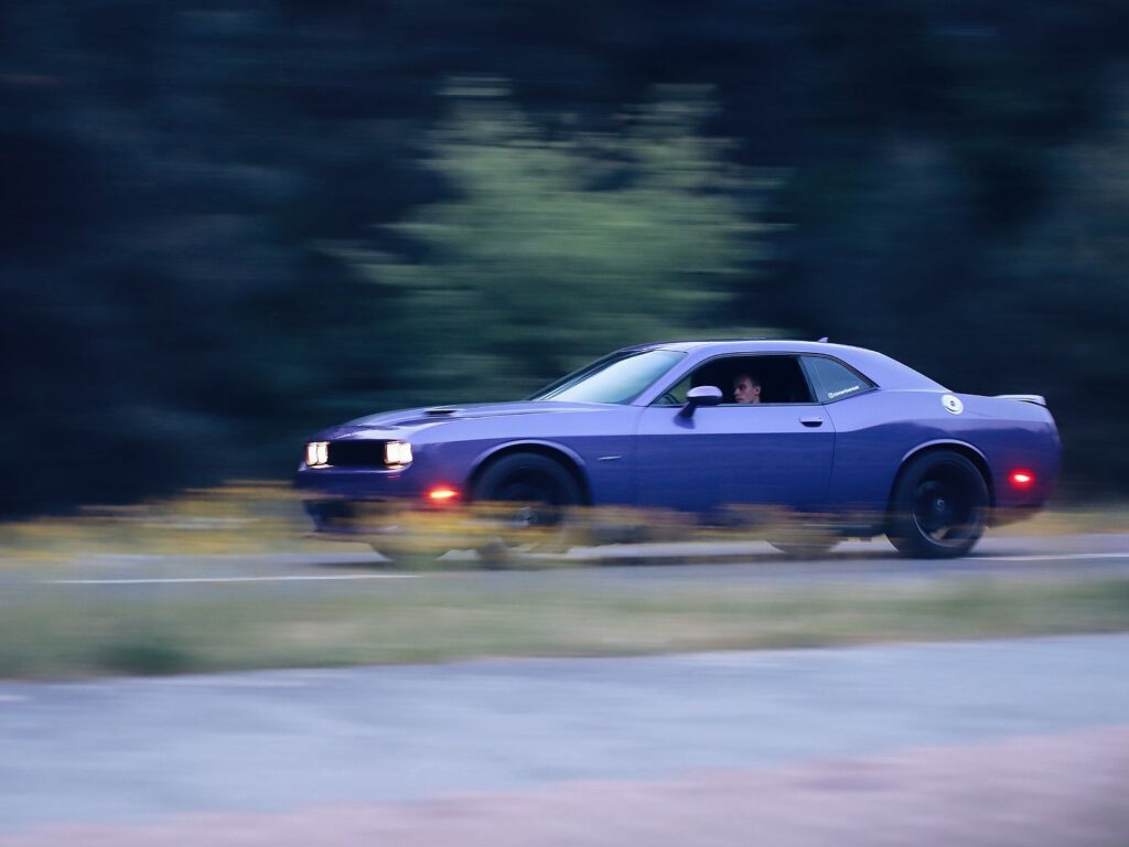 Fotograf-Puławy-Galeria