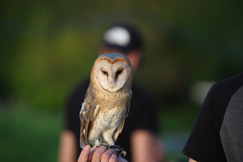 Fotograf-Puławy-Galeria