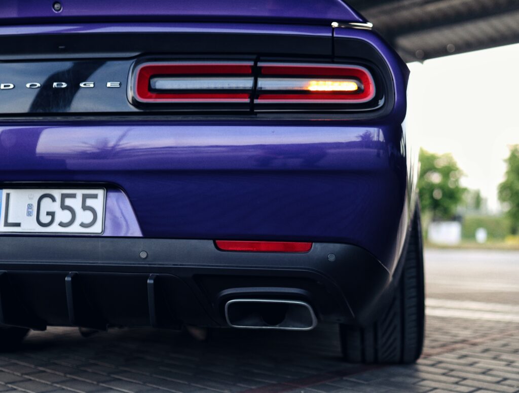 Fotograf-Puławy-Galeria