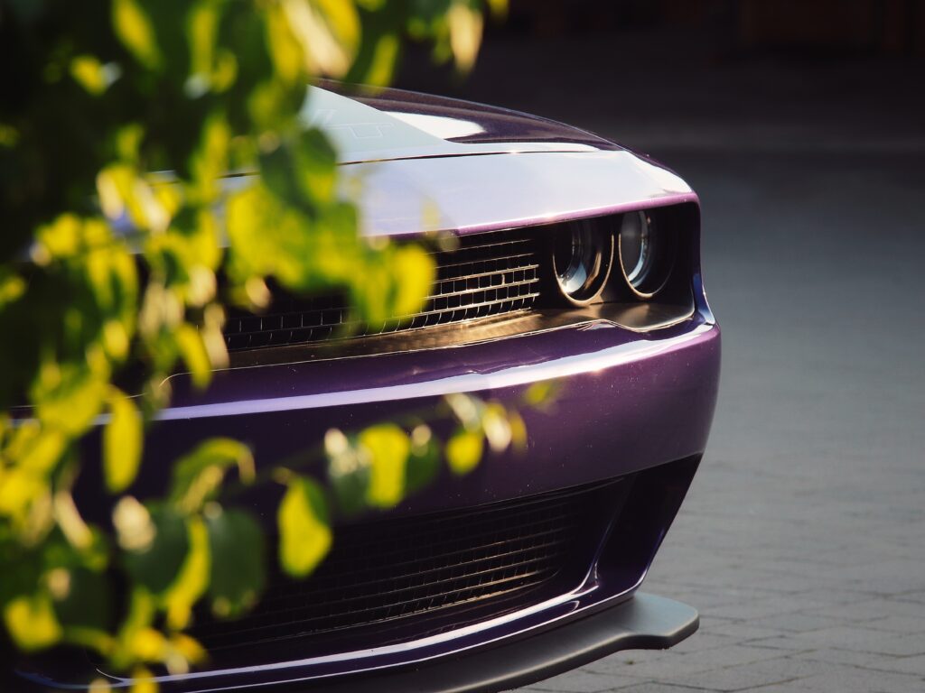 Fotograf-Puławy-Galeria