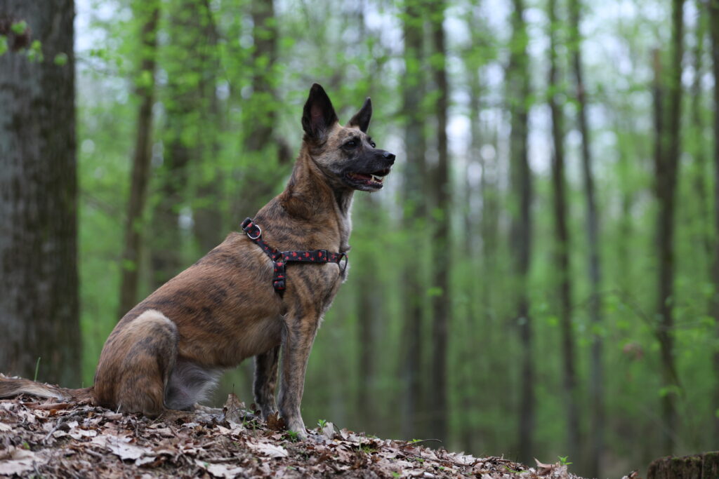 Fotograf-Puławy-Galeria