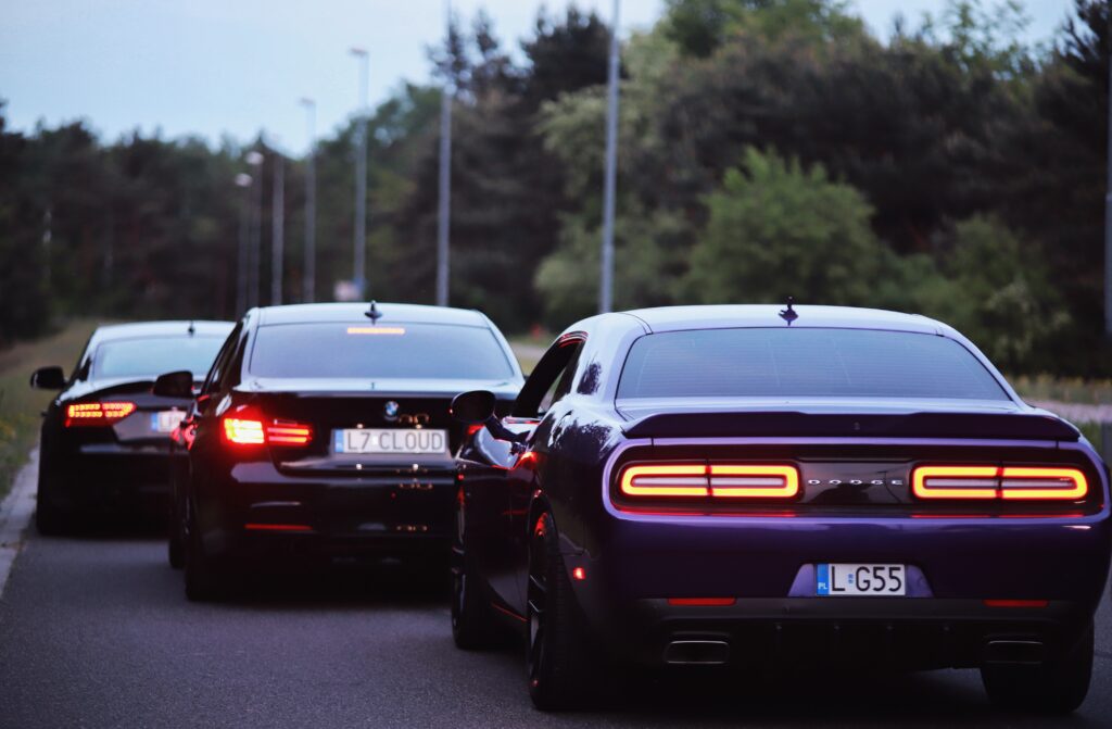 Fotograf-Puławy-Galeria