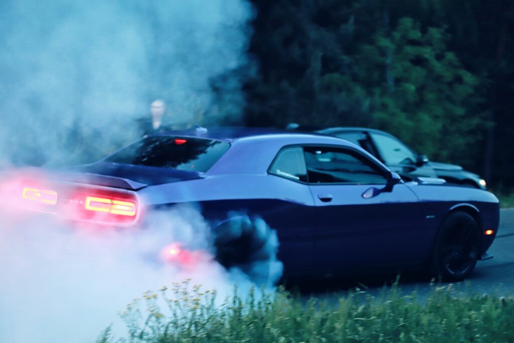 Fotograf-Puławy-Galeria